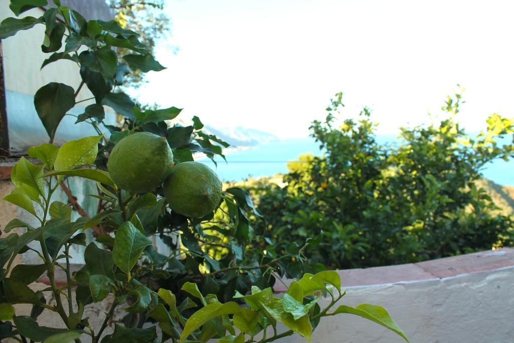 La Via Del Mare 3*